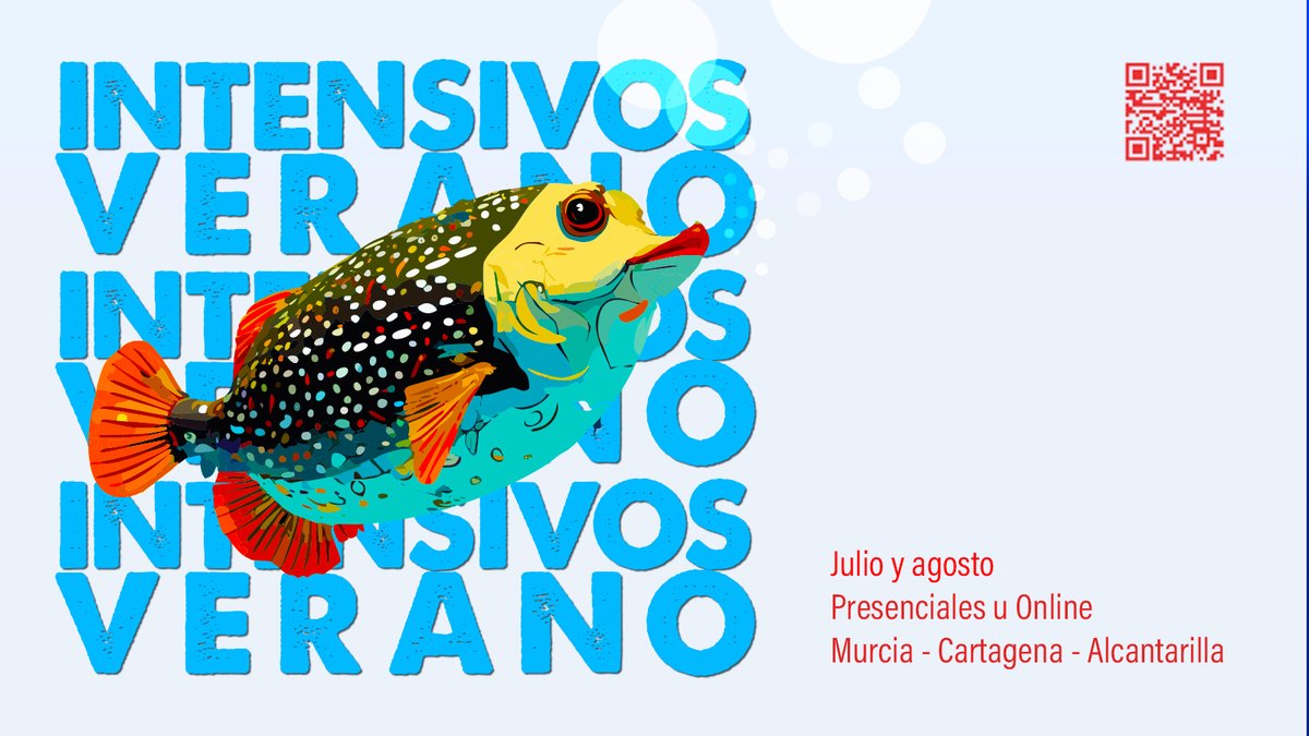 Fluency Idiomas tweet media