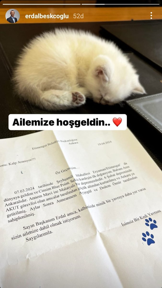 Erdal Beşikçioğlu, Malatya'da göçük altında kalan kedinin, bir yavrusunu sahiplendi.
