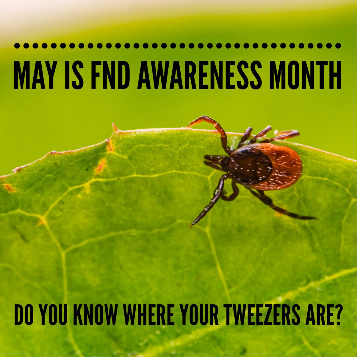 To all the gaslighters out there: may FND crawl up into your groin and have a snack. 
#LymeDisease