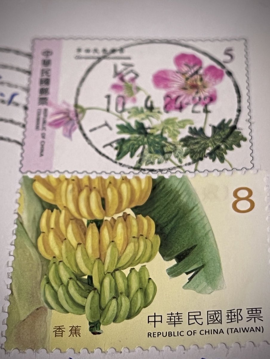 鈴木一徹@RINGTREE tweet media
