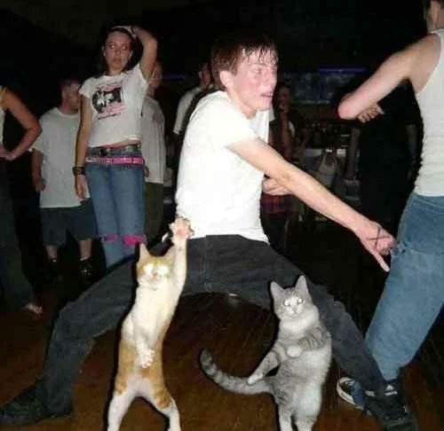 Me and the cats dancing to the double #TTPD