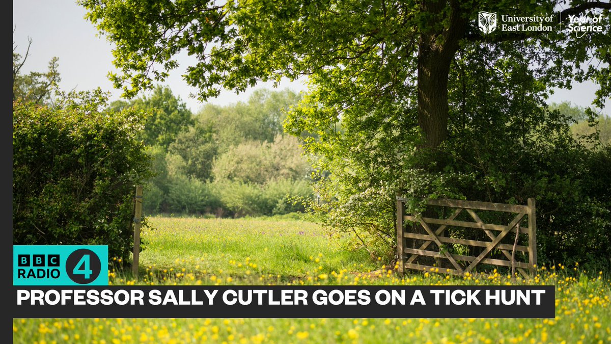 How much of a problem are ticks? 🌿 Join Sally Cutler on a tick hunt for in Richmond Park. Find out why new species of ticks and new diseases could be coming our way - and what you can do to keep safe. Listen now 👉 bbc.co.uk/programmes/m00… @BBCRadio4 @uel_hsb #UELYearofScience