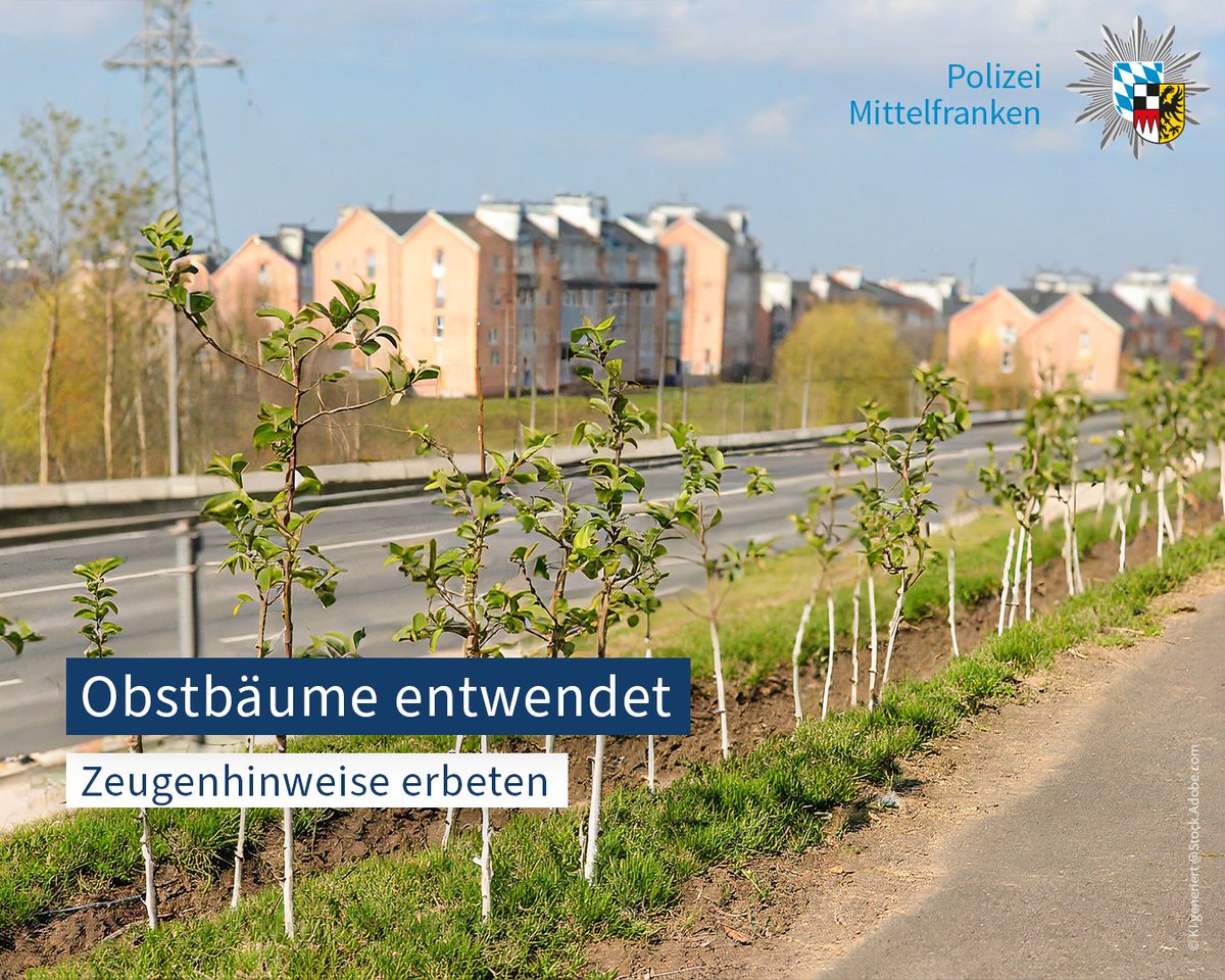 In der Zeit von Freitag 11.04. bis Freitag 19.04. 2024 entwendeten unbekannte Täter sieben #Obstbäume und vier Begrünungspflanzen, die in #Nürnberg Ziegelstein gepflanzt worden waren. polizei.bayern.de/aktuelles/pres…