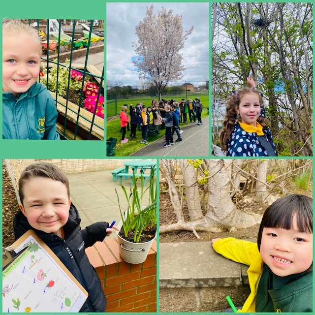 Primary 2 have been looking for signs of Spring in our school grounds. #sciencestnics