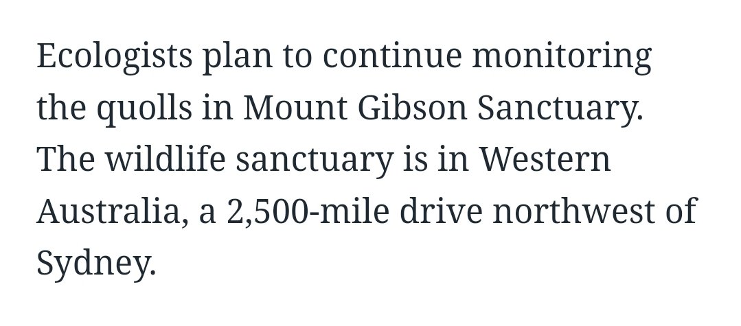 RobinSSci's tweet photo. An American news website picked up our recent baby quoll story which is lovely, but I'm losing it at how they've described Mt Gibson's location 😭 https://t.co/cchuQqvKdD