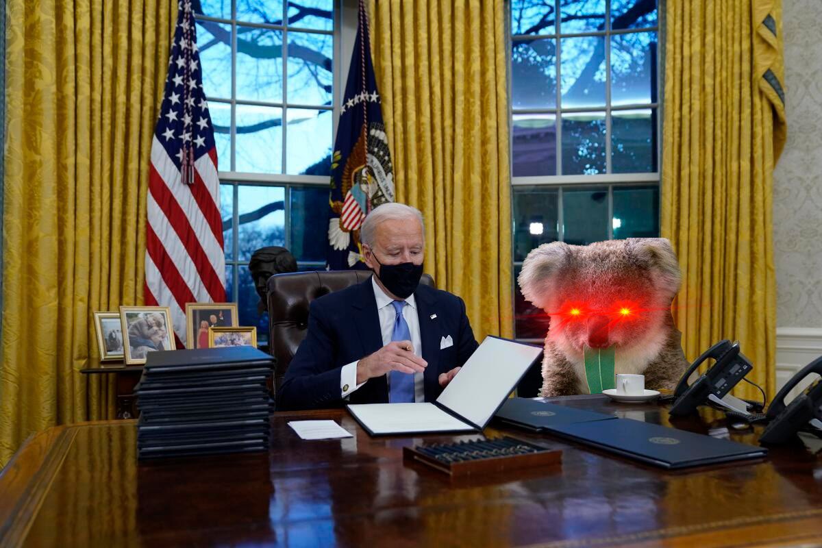 dropbearup's tweet photo. DID YOU THINK WE GONE?

Wronggggggg

Just been busy making my lil bitch boi sign new laws so we can move freely across borders and takeover the world.

What you do today?? https://t.co/lSyukV1js5