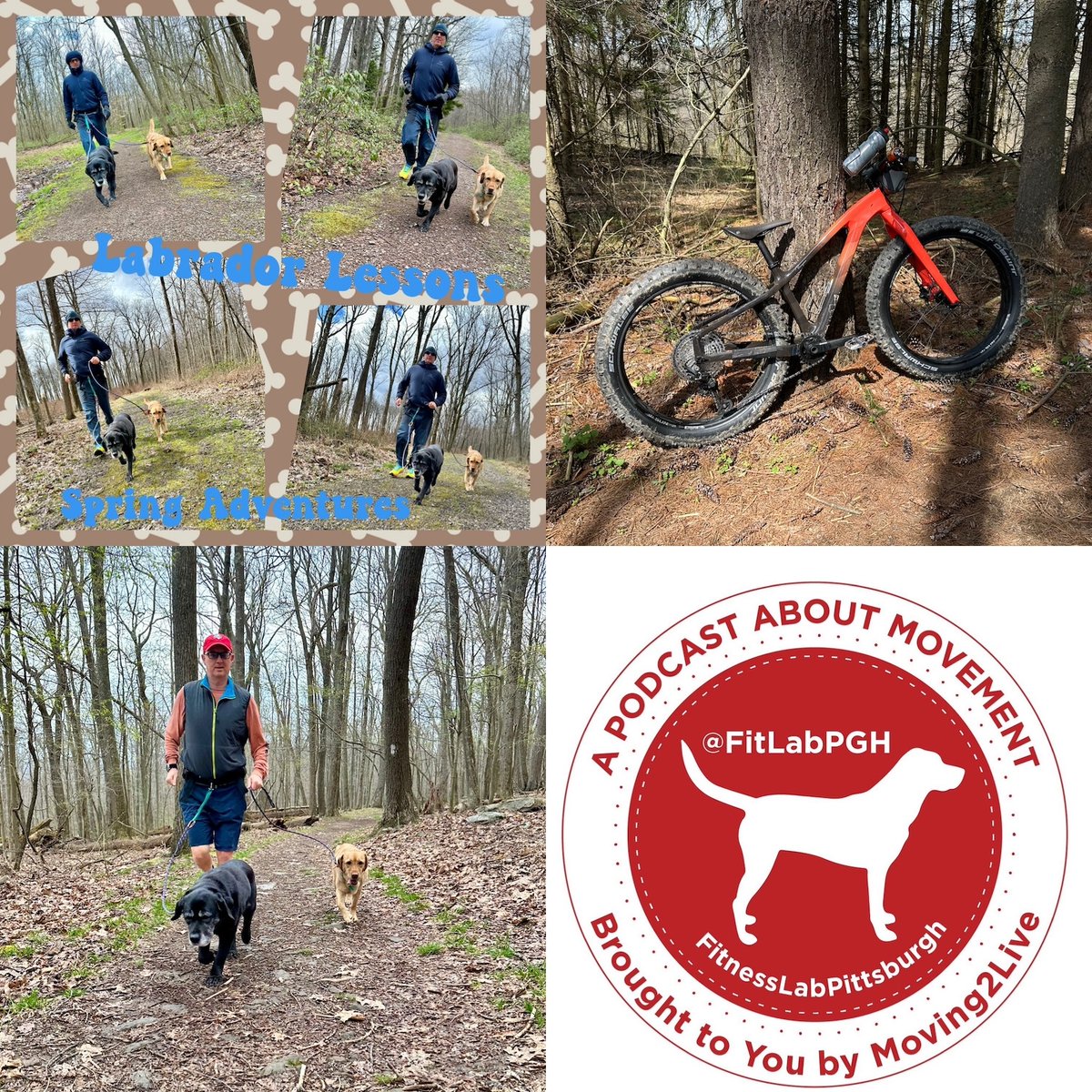 FitLabPGH promotes #movementisalifestyle with weekly movement tips & a Labrador Lesson. This week the Labs say Include Your Dogs in Your Spring Adventures.
Beckman
Our Movement Tips: Move With What You Have & Make Your Movement Mindful
tinyurl.com/flpghtips1624