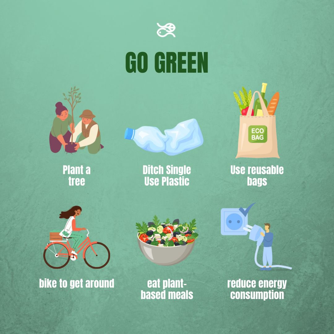 Go green everyday🌿🌱

@Knowing_Climate 

#climatescience #adaptation #mitigation #environment #climatechangeisreal #gogreen #sustainable #nature #horizoneueurope #eestivabariik #espana #italia #osterreich #croatia