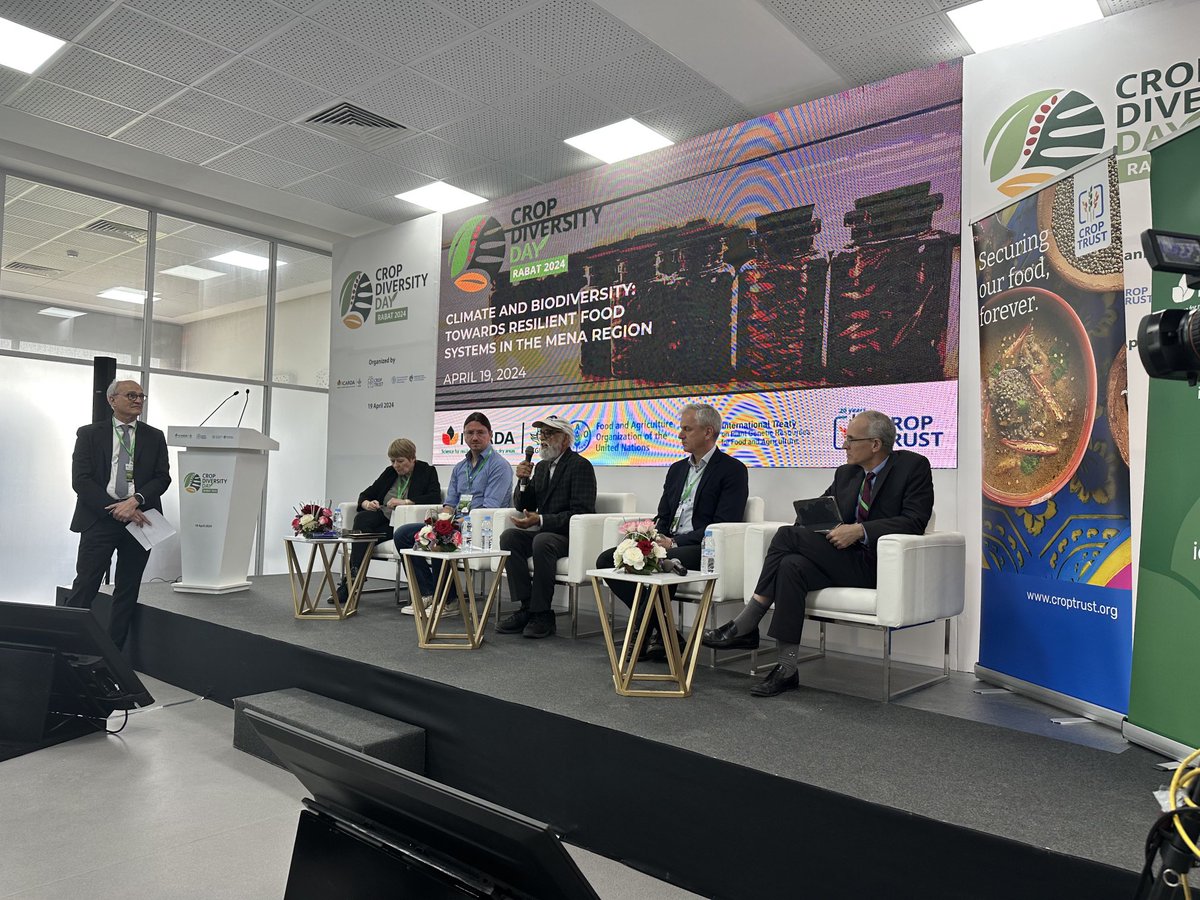 fillobax's tweet photo. #AGENTProject ⁦@Nils__Stein⁩ participating today at ⁦@ICARDA⁩ #Morocco to a panel on Crop Diversity moderated by the DG of @CropTrust⁩ sharing the stage with Prof Gill ⁦@KSwheatbreeding⁩ Dr Torrent ⁦@JamesHuttonInst⁩ and DG of ⁦@INRAMaroc⁩ https://t.co/Y3BRSSwZ6Q