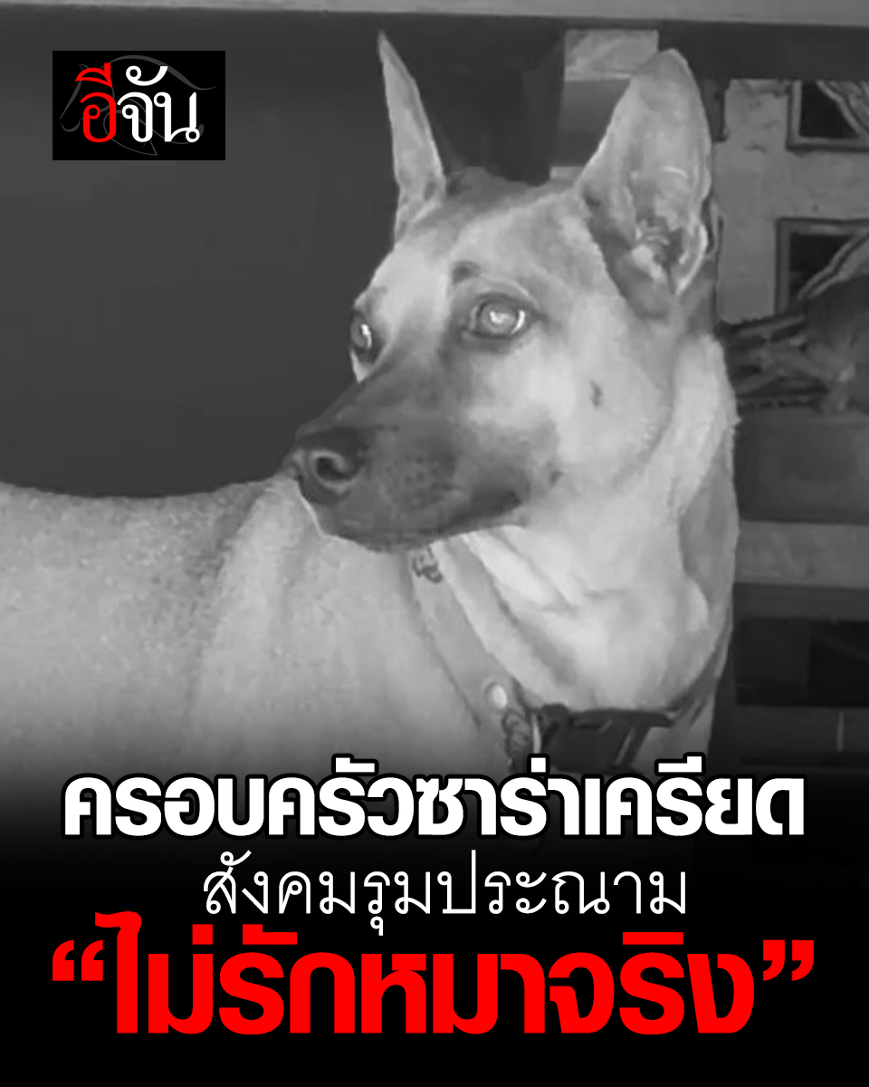 อีจัน tweet media