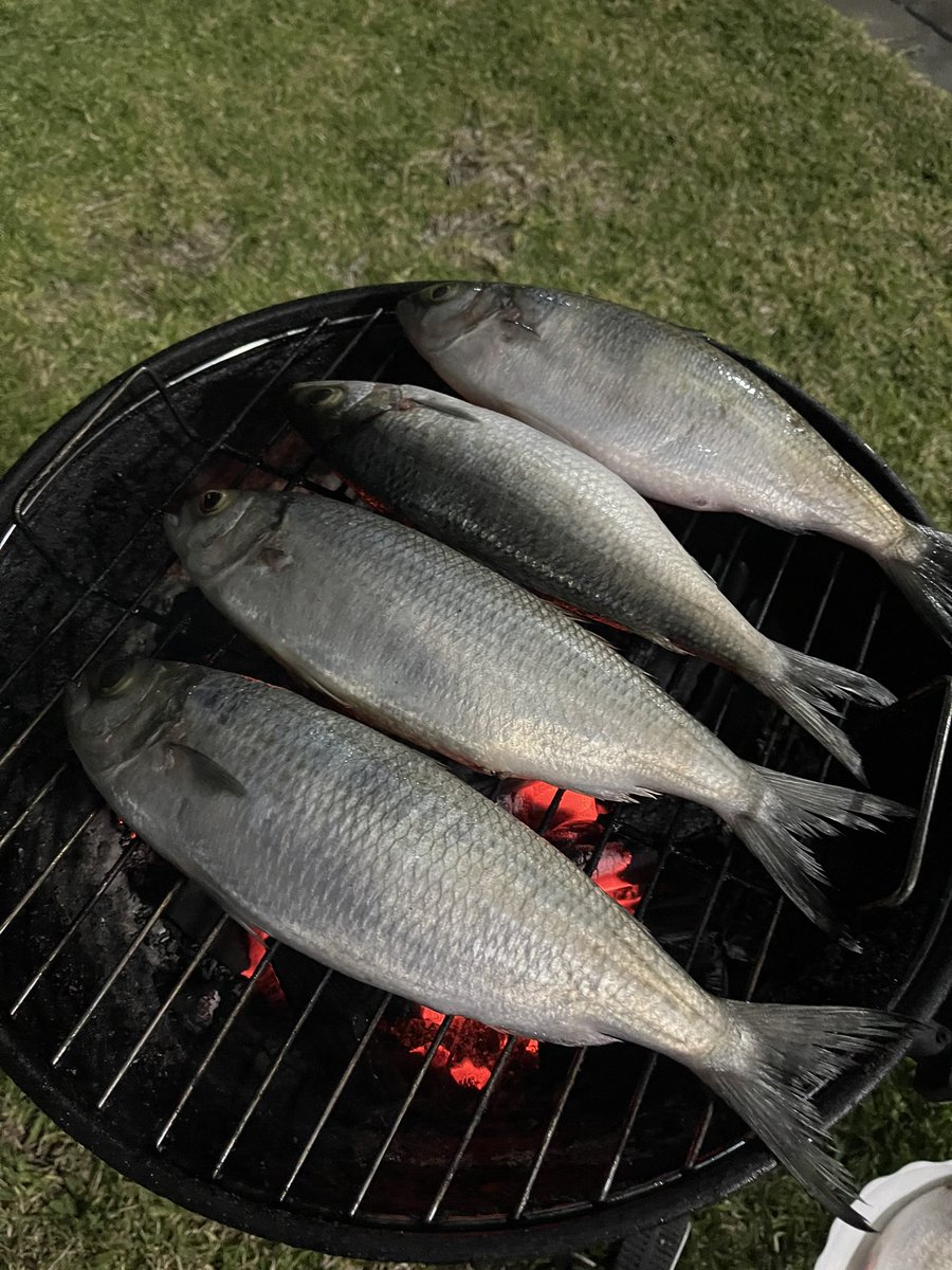 BENVO90's tweet photo. Mời ae ăn cá nướng cùng mình nha
chúc ae cuối tuần vui vẻ bên gd 
xin ae 1 like nha 😂💪💪
#bbq #fish https://t.co/cg4fuiT7XE