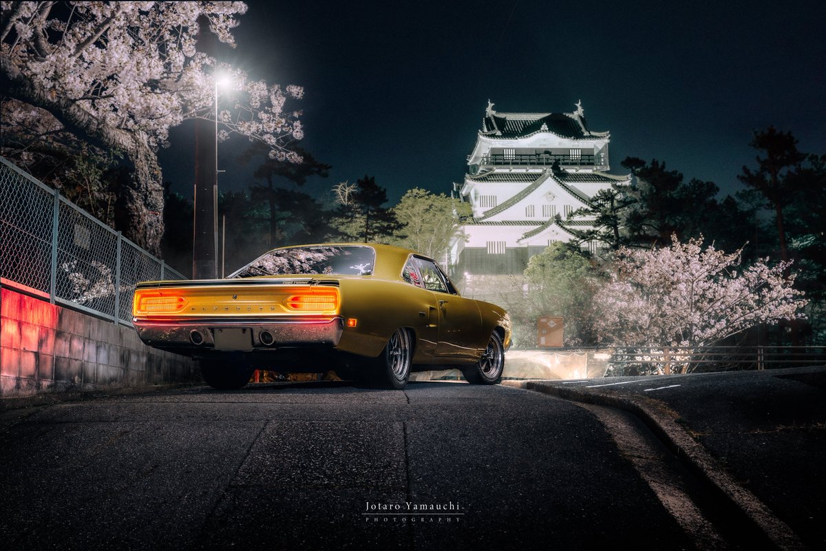 jotaroyamauchi's tweet photo. Road Runner × Sakura https://t.co/mxRQEqpFIv