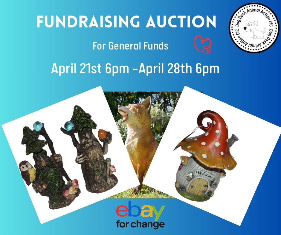 Please take a look at our #fundraising auction ending 28th April from 6pm ebay.co.uk/str/dogdeskani… All funds raised support the #dogs under our care #dogsoftwitter #dogs #dog