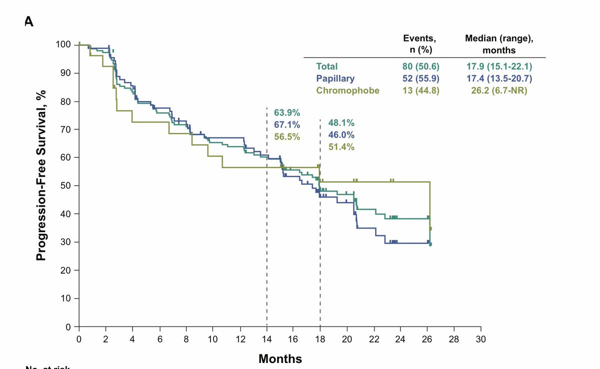 Updated data with lenvatinib and Pembrolizumab in 158 1st line advanced non-clear cell renal cancer #ikcs24. 8 mnths extra FU. RR= 50% seems higher than sunitinib. 18 month mPFS and 80% 12 month OS also looks ⬆️, but randomised trials such as SAMETA and XL92/nivo remain important