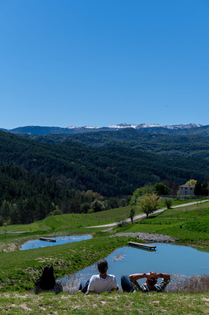 Charles Ange Ginésy tweet media