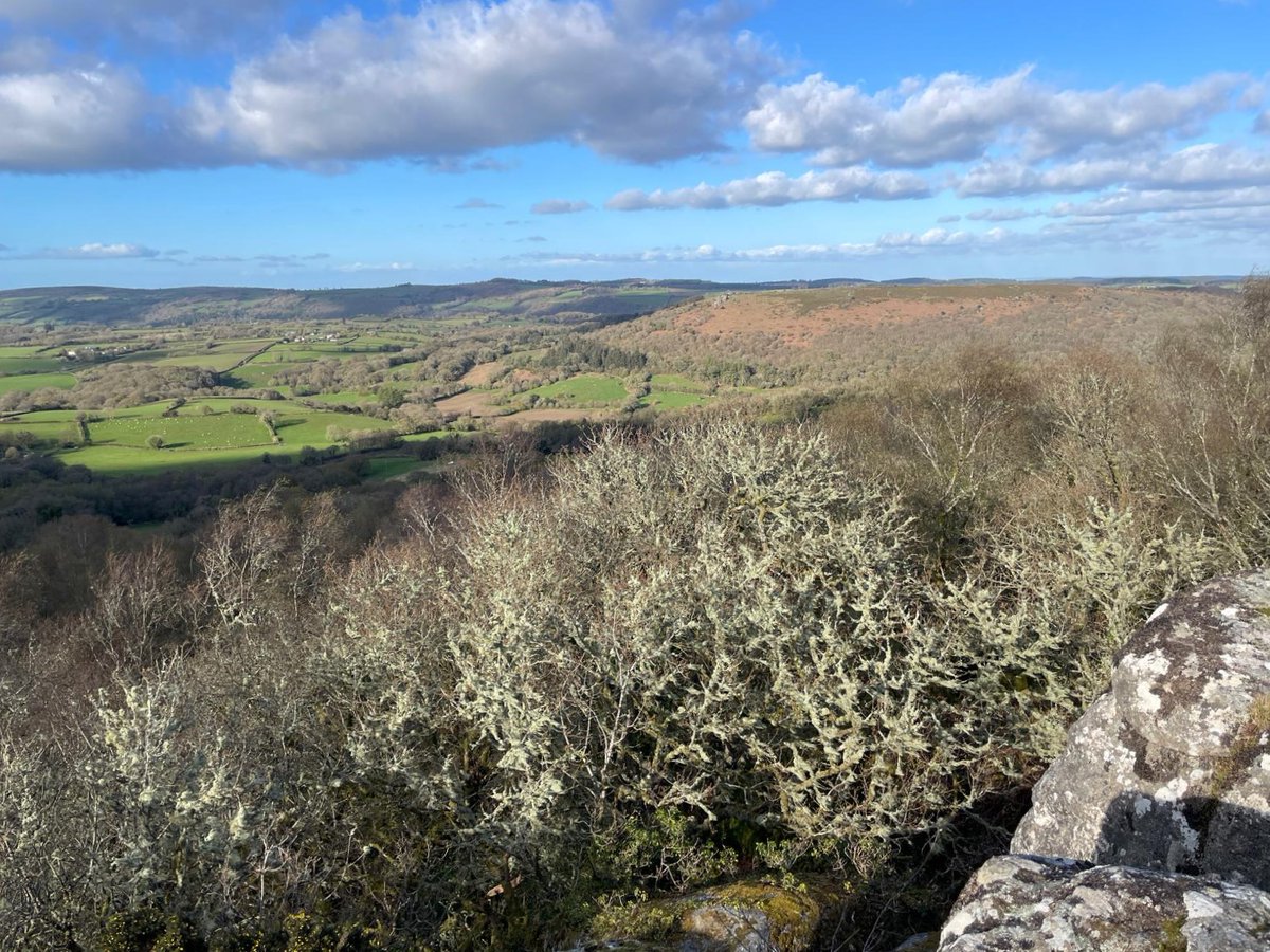 Holiday in Dartmoor tweet media