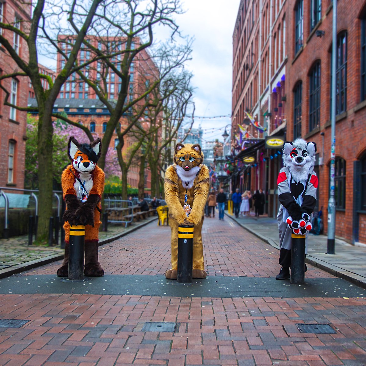 What better way to spend #FursuitFriday than with inferior foxes, friends, I mean friends 😼

@ItsAdventureFox 
@Maplefawndeer  as me 😺
<a href="/1QuantumJoker0/">Joker 🃏 ➡️ Animalz</a>