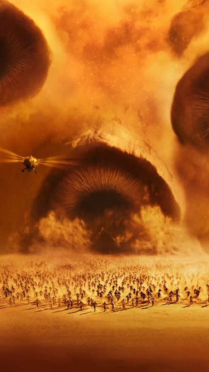 Greig Fraser NO FALLA.