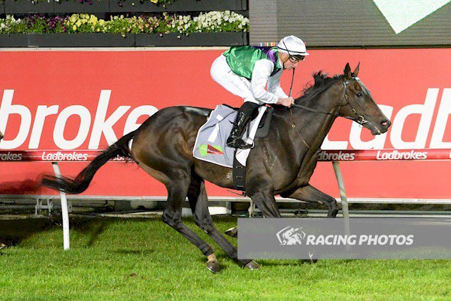 Makbeel salutes at Cranbourne 🫡 
Been a fruitful prep so far! 

One of the better rides on the night by @danielstackhou1 🤌🏻

Big thanks to all my team as always 🙏🏻