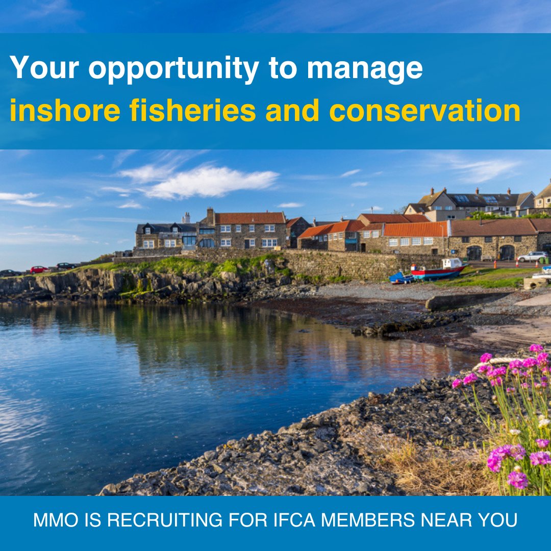 Can you take a balanced approach to caring for our seas, keeping the needs of all stakeholders in mind? We are looking to fill IFCA vacancies & create a reserve list. For more information, contact 📧ifcarecruitment@marinemanagement.org.uk or📧leanne.tan@marinemanagement.org.uk