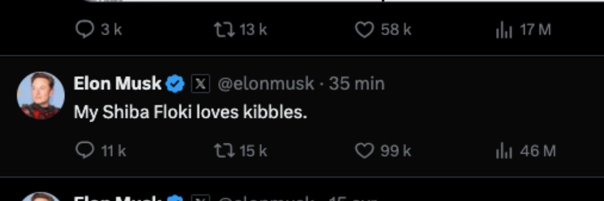 KIBBLEofMEME's tweet photo. Time to eat! Launched and already over 10k market cap. @elonmusk 
#10 on SOL Trending
https://t.co/IIR0WQt4u6
https://t.co/1bPJiOF9Lq https://t.co/5vSmn2I9Gm