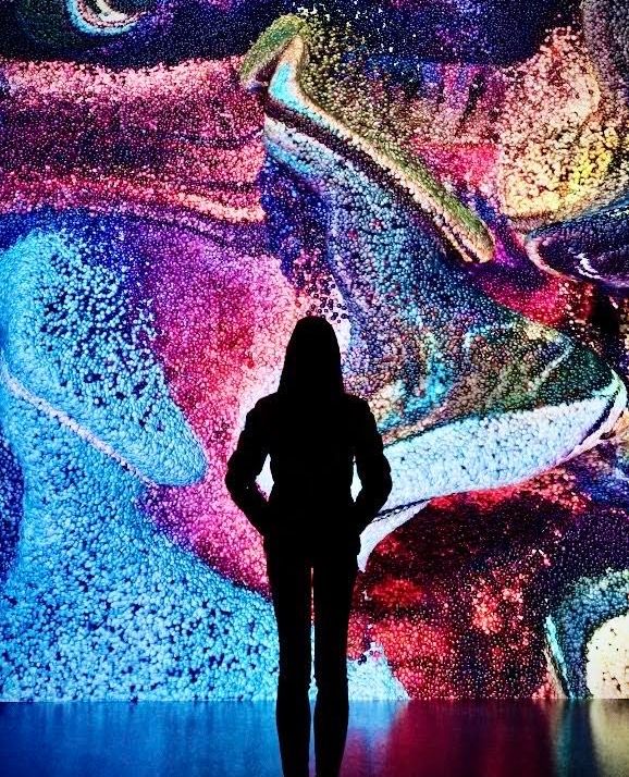 Hayy Jameel tweet media