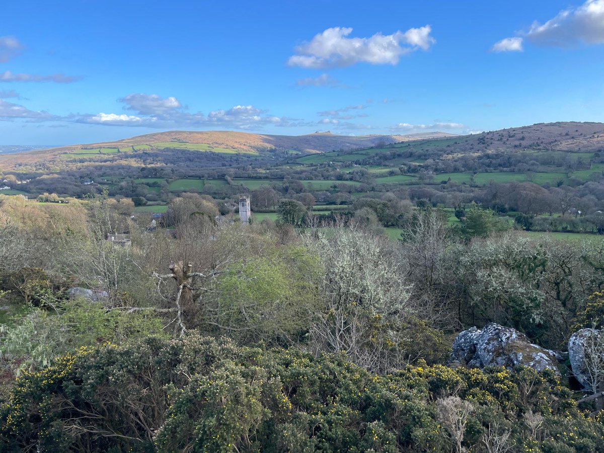 Holiday in Dartmoor tweet media