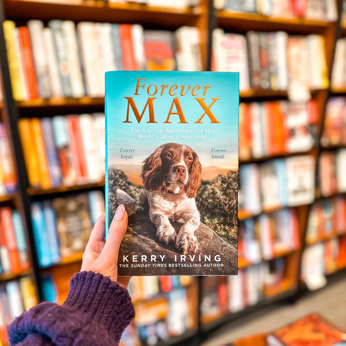 WStonesNorthal's tweet photo. Forever Max by Kerry Irving is available now! ๐พ
This touching tribute celebrates a much-loved and much-missed dog and his incredible legacy.
#waterstonesnorthallerton #northallerton #lovenorthallerton #waterstones #forevermax #maxthemiracledog #maxinthelakedistrict https://t.co/UpYUWUYnP2