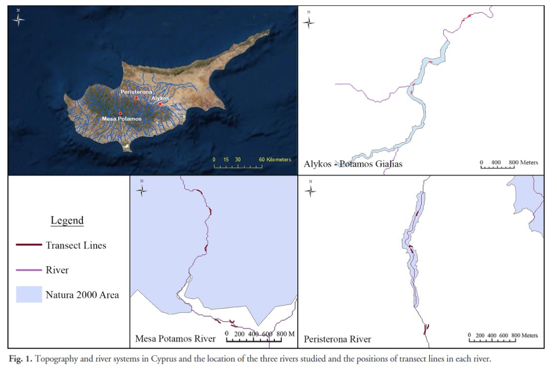 'Environmental heterogeneity and lizard assemblages in riparian areas in Cyprus' by Erotokritou et al. (2024) has recently been published in #ReptilesandAmphibians: doi.org/10.17161/randa… #Herpetology #Reptiles #Lizards