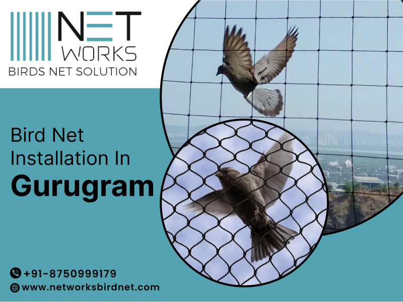 networksbirdnet's tweet image. Are you looking for Bird net installation in Gurugram?
Our expert team in Gurugram is now offering top-notch bird net installation services.
Visit now:- networksbirdnet.com
Contact us today for a consultation! 
#BirdNet #Gurugram #NetInstallation #pigeonnet