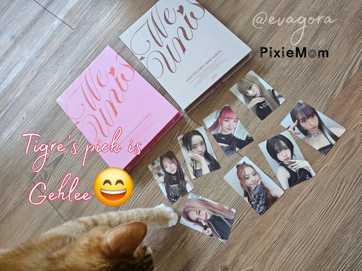 Pixie Mom (@PixieMomBop) / Posts / X