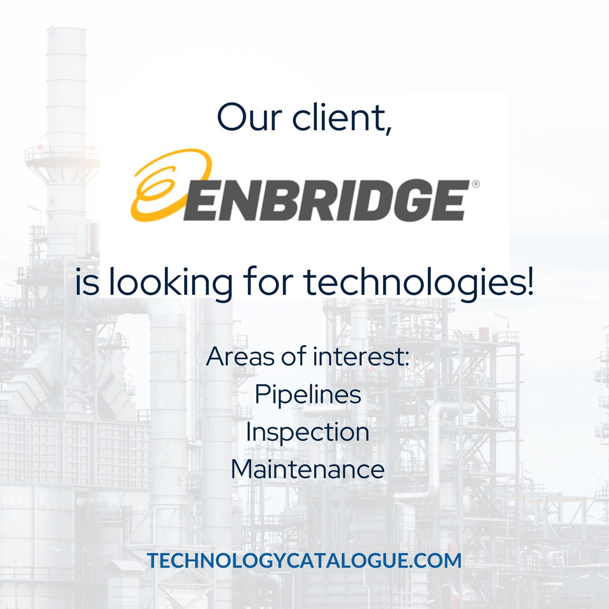 TechnologyCatalogue.com tweet media