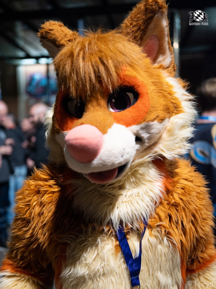 BayernFurs's tweet photo. "Ein Lächeln ist ein Geschenk, dass Wir jeden Tag verschenken können. Und das meist auch gut ankommt.
@ArkonInu zeigt euch wie es geht!"
#BFD13 #FursuitFriday
🐶 @ArkonInu
📸 @HiryuTheDragon
Ihr wollt uns unterstützen? Super!
Dann hier entlang, unter
https://t.co/ARcYxO2uAP https://t.co/2BYTVUKlka