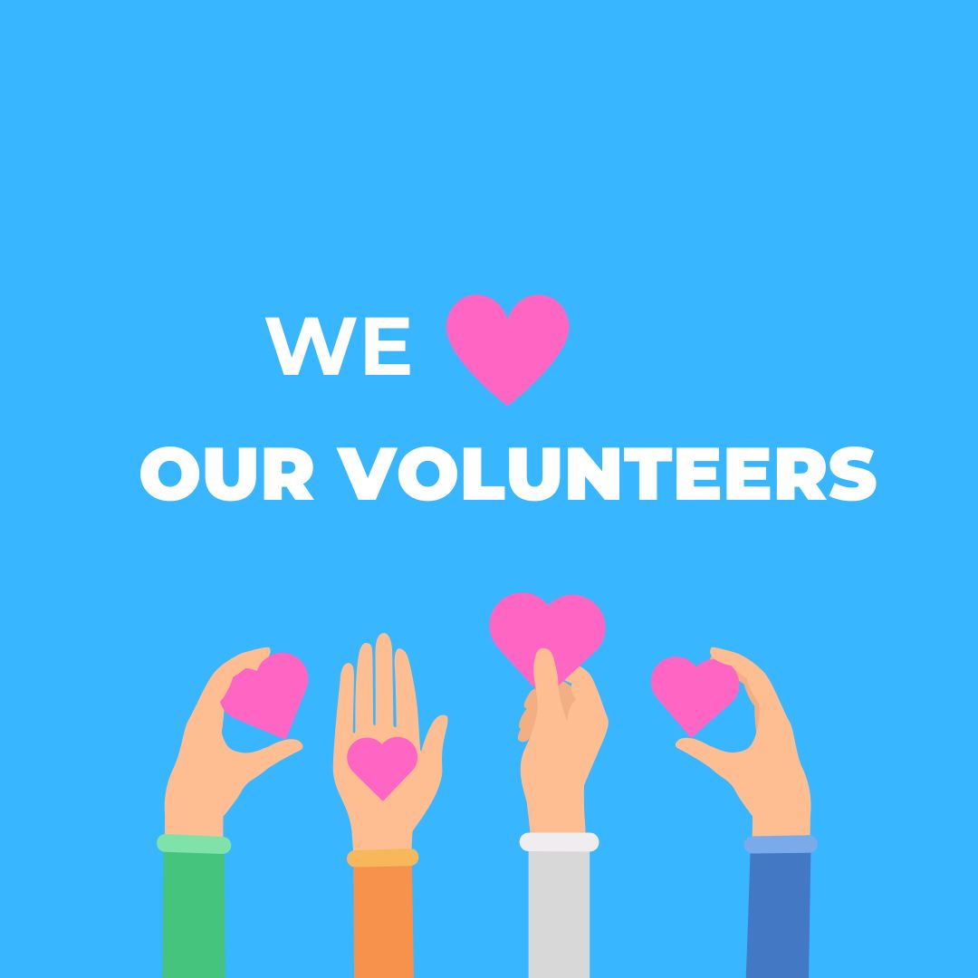 A HUGE thank you to all our volunteers for donating their time and hard labour to us! We 💗 you all.

#ottb #longrun_tb #horses #horsesofinsta #thoroughbreds #equine #equestrian #horselife #horselove #gelding #volunteerweek #volunteers #volunteer