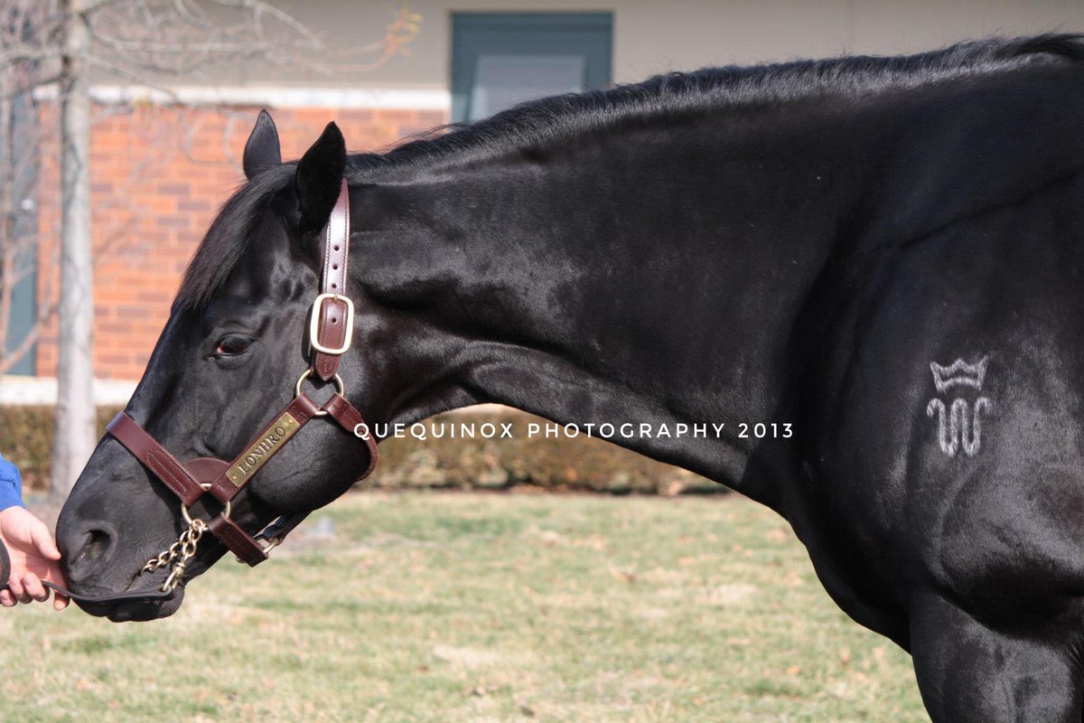 Rest in peace Lonhro…. Honoured to have seen him in person at the Darley open house in 2023.