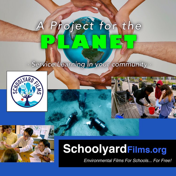 #Servicelearning is much more than #communityservice: it can change the world. Join us as #students take on amazing projects… for the Planet!

vimeo.com/278996658

#SchoolyardFilms #STEM #PBL #homeschool #environmentaleducation #nativeplantmonth #educationandsharingday