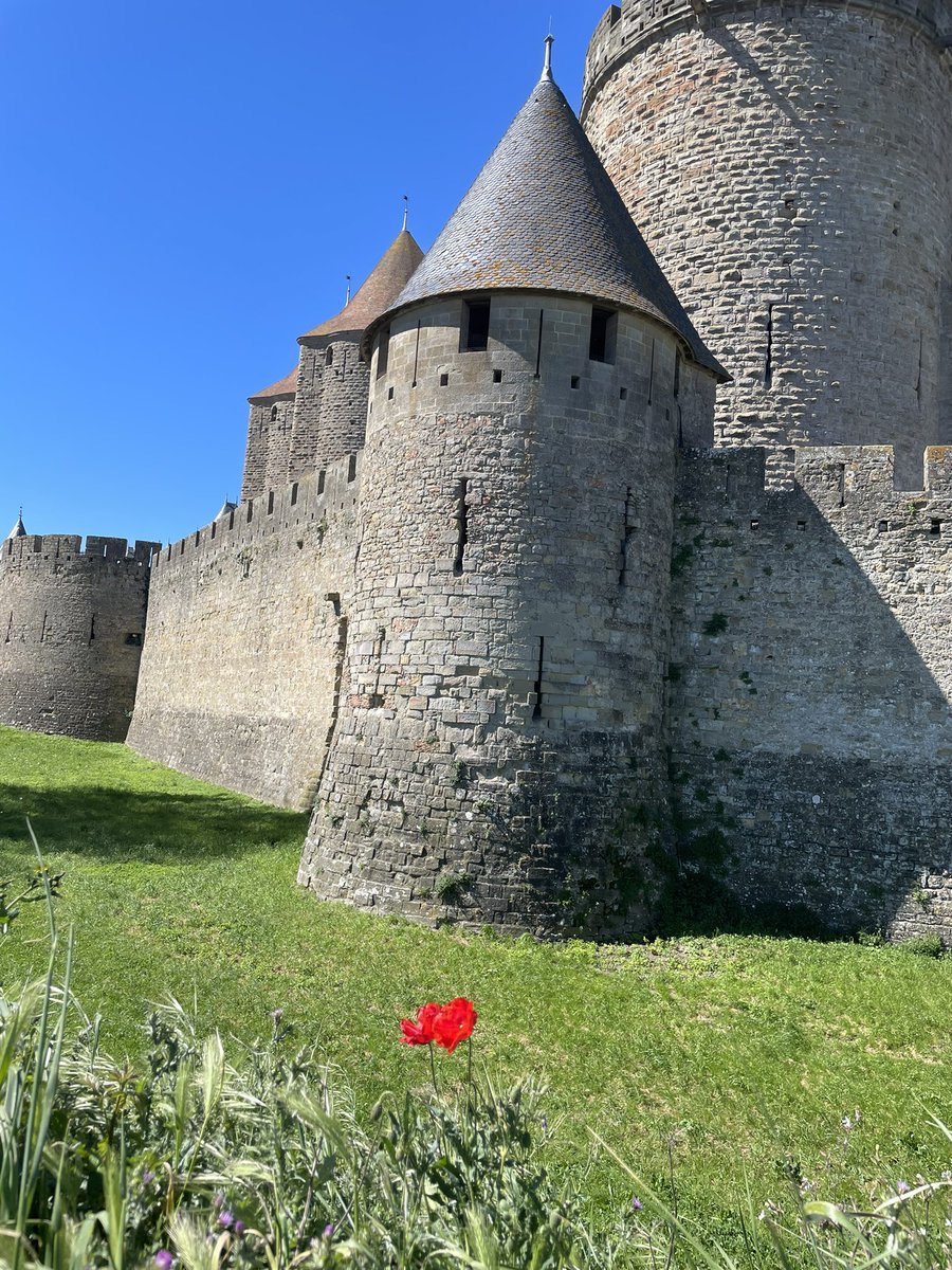 Solo trip to Carcassonne today. Bright sunshine all day (at last).