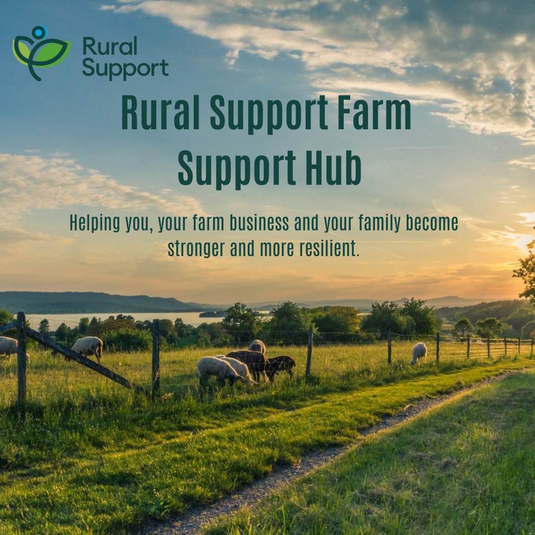 Our Farm Support Hub has been developed to provide practical, at your fingertips resources for the farming community across NI. It's an easy way to find info, ideas, tips & tools to help you, your farm business & family become stronger and more resilient ruralsupport.org.uk