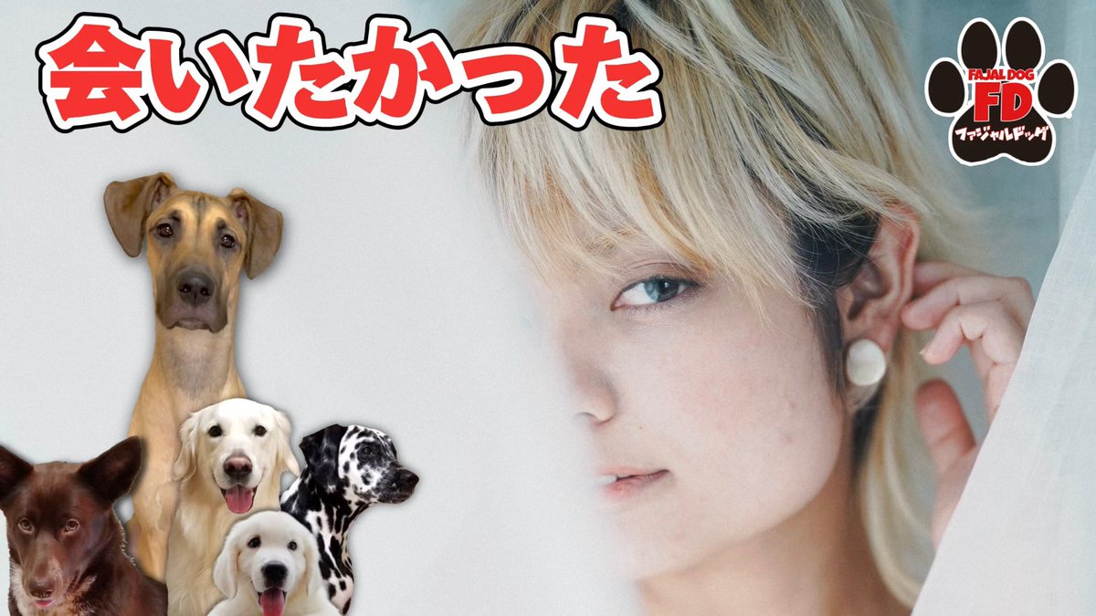 【大型犬５匹】嬉し過ぎて体調崩す超大型犬！グレートデン子犬
youtu.be/QdCOwq2nuXU

#英国ゴールデンレトリバー子犬 #グレートデン子犬 #ダルメシアン #雑種 #大型犬 #超大型犬  #多頭飼い #dog
#extralargedog #greatdane #britishgoldenretriever
#protectiondog #dalmatian #megaesophagus