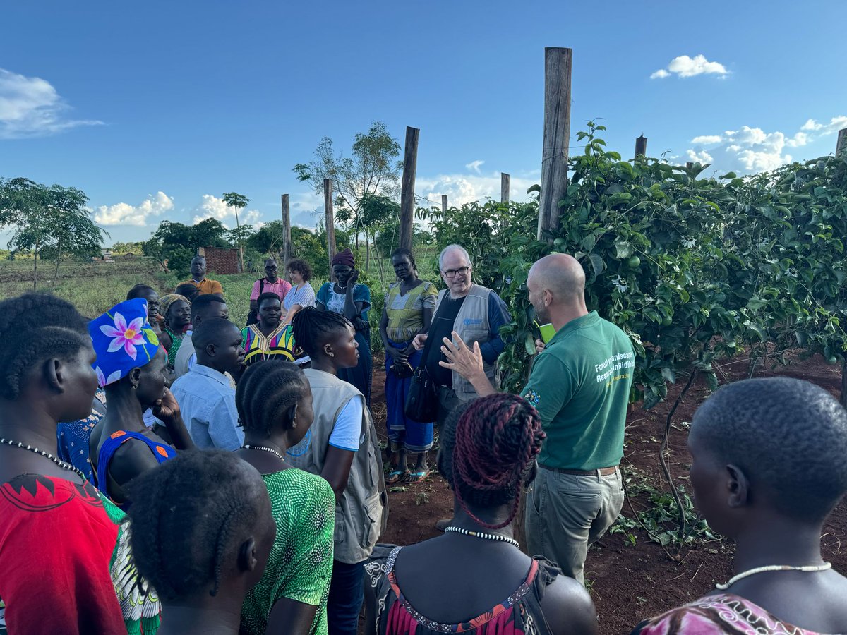 The rainy 🌧️ season is here! Refugees + host communities in Kiryandongo are ready to make the most of it. Thanks to our e-voucher scheme, funded by @NLinUganda + @IKEAFoundation, farmers can access high-quality passion fruit &🍅🧅🍆 seeds, 4 improved household nutrition &💰🤑