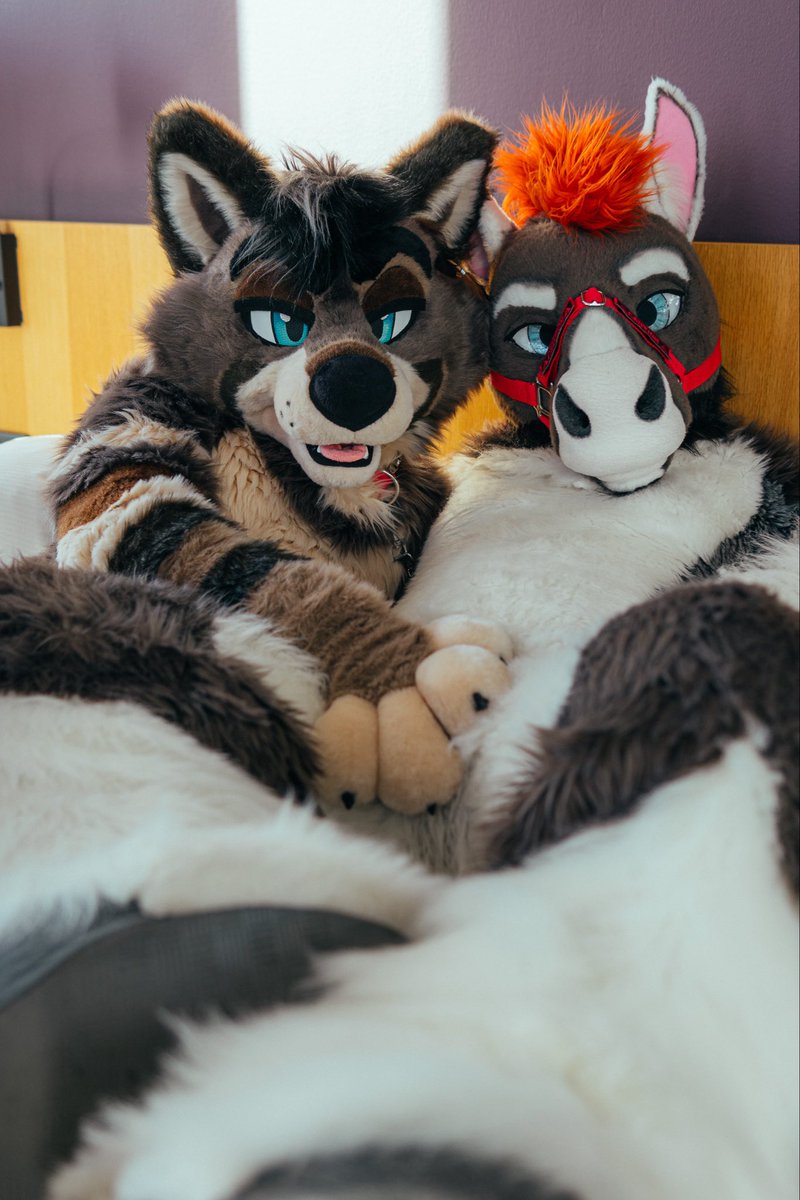 RT if u want a wolf &amp; horse 
really
  really
    really
      really
        really
        really
       really
     really
   really
 really
really
 really
  really
   really
    really
      really
        really
        really
       really
     really
   really
 really
bad