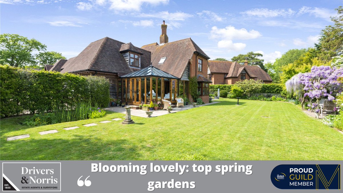 In celebration of spring, #TheGuild presents homes with spectacular spring gardens, guaranteed to inspire! 🌷🌱More details here👉drivers.co.uk/news/blooming-…

We can help you find your dream home with a garden! Book a valuation today👉drivers.co.uk/property-valua…

#GardenInspiration