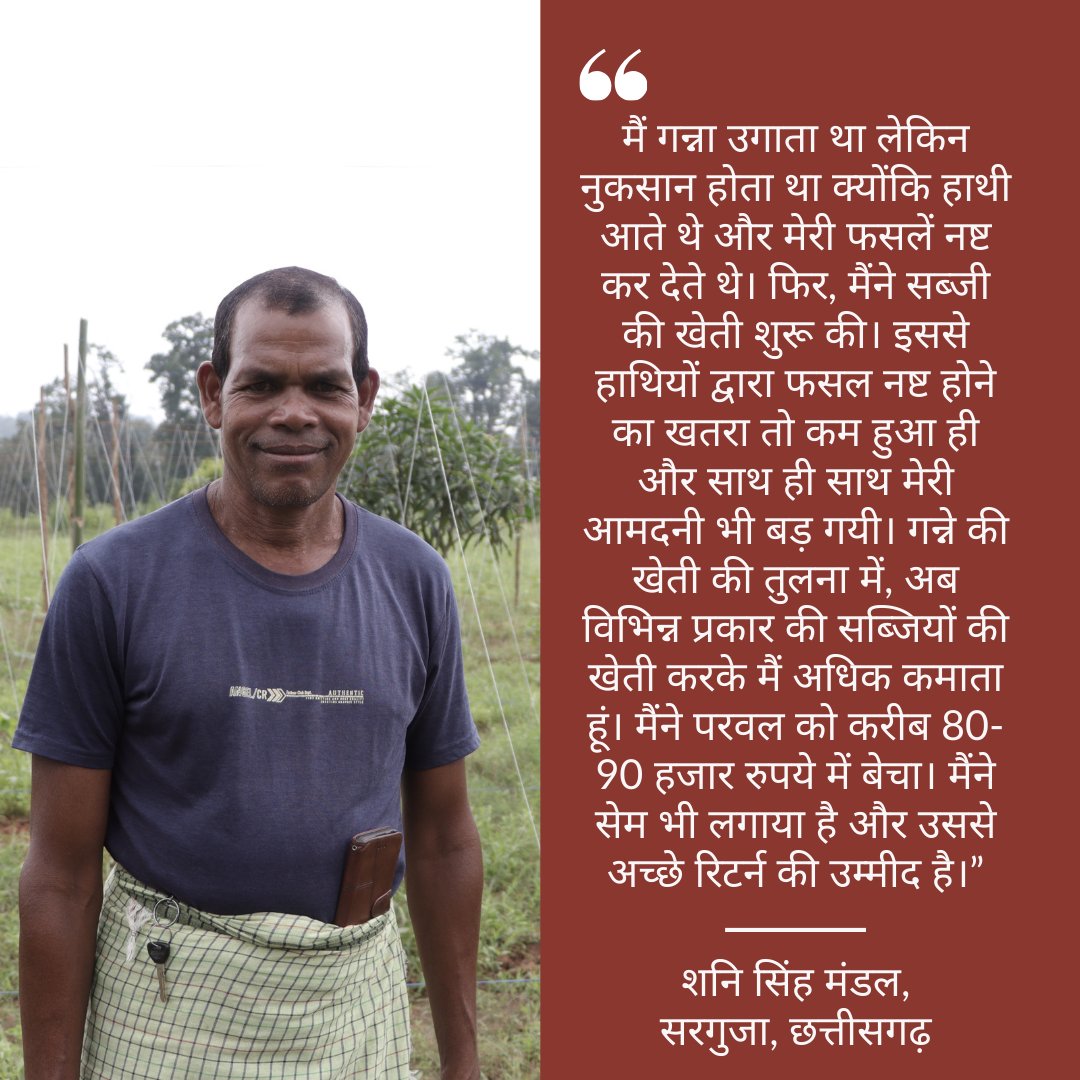 For years, farmers in Surguja, Chhattisgarh, have faced a persistent challenge: elephants destroying their crops. Among these crops, sugarcane is a favourite of the elephants. So when Shani Singh Mandal, a farmer from Singra village, cultivated sugarcane, it was bound to attract