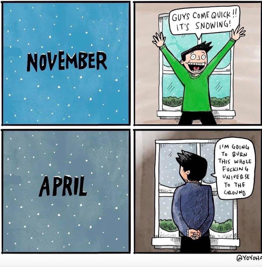 Joel Willans tweet media