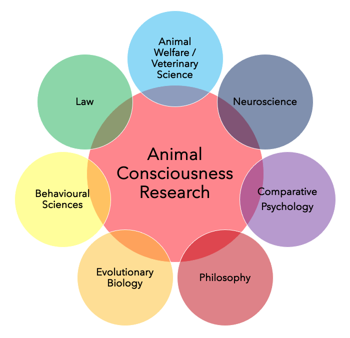 What is the New York Declaration on Animal Consciousness and what do we hope to achieve with it? You can read our collective view at (nydeclaration.com) but for my personal view, see the slides of my talk here: drive.google.com/file/d/1Wvh3np…