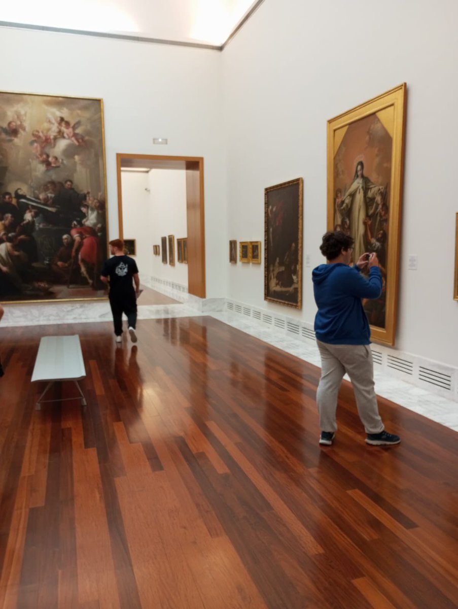 Hem visitat amb 4t ESO el <a href="/GVAmubav/">Museu de Belles Arts de València</a>. Una experiència  imprescindible i que ja és habitual a la segona pinacoteca més important de l'Estat. Durant l'activitat, conjunta dels departaments d'Història i Plàstica, l'alumnat busca obres, analitza les composicions i les interpreta.