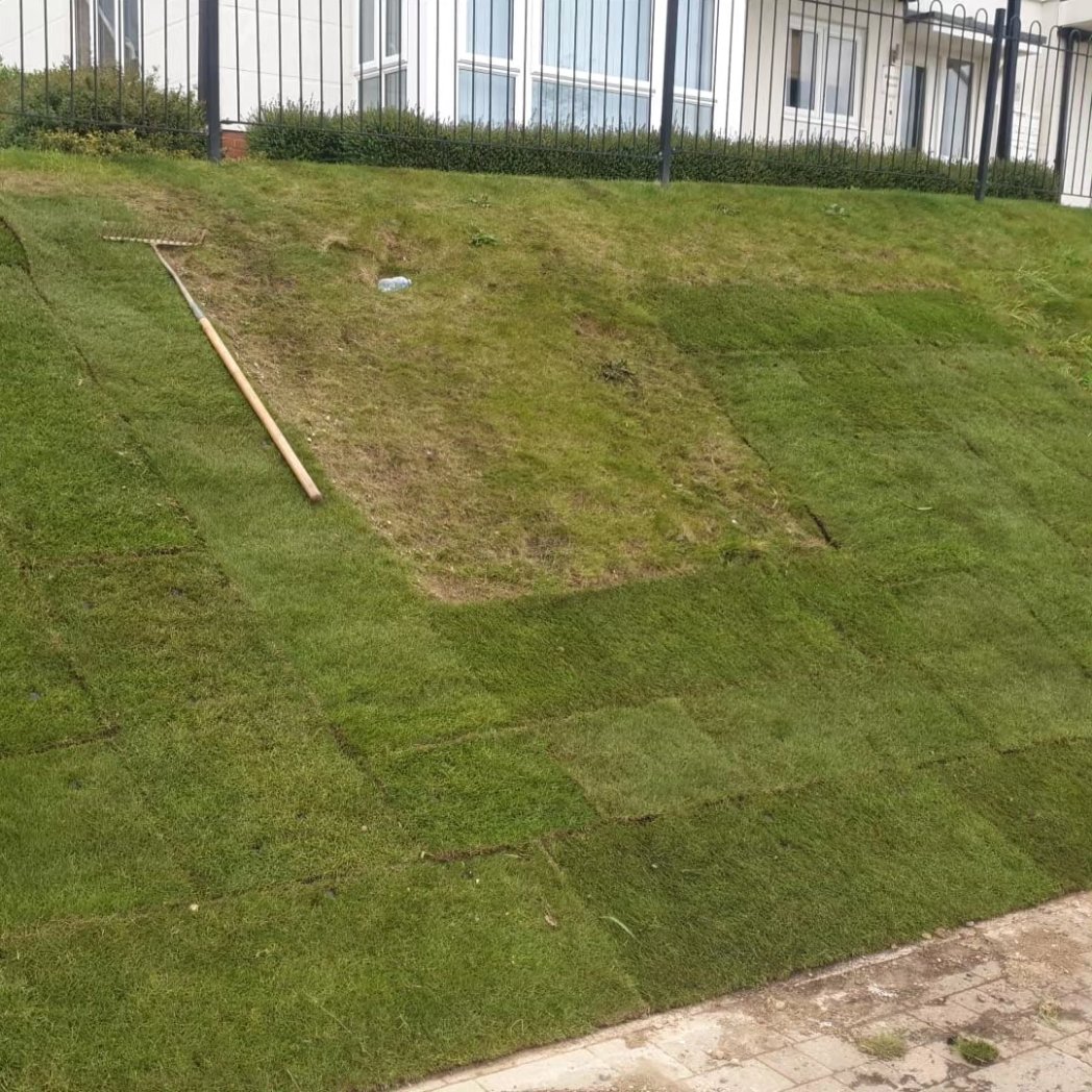 Returfing and repair of damaged grass for our Client in Kent this morning #fullerandthomas #loveconstruction #turfing #repairandreplace #greenspace #greenroofs #brownroofs #landscaping #greenteam