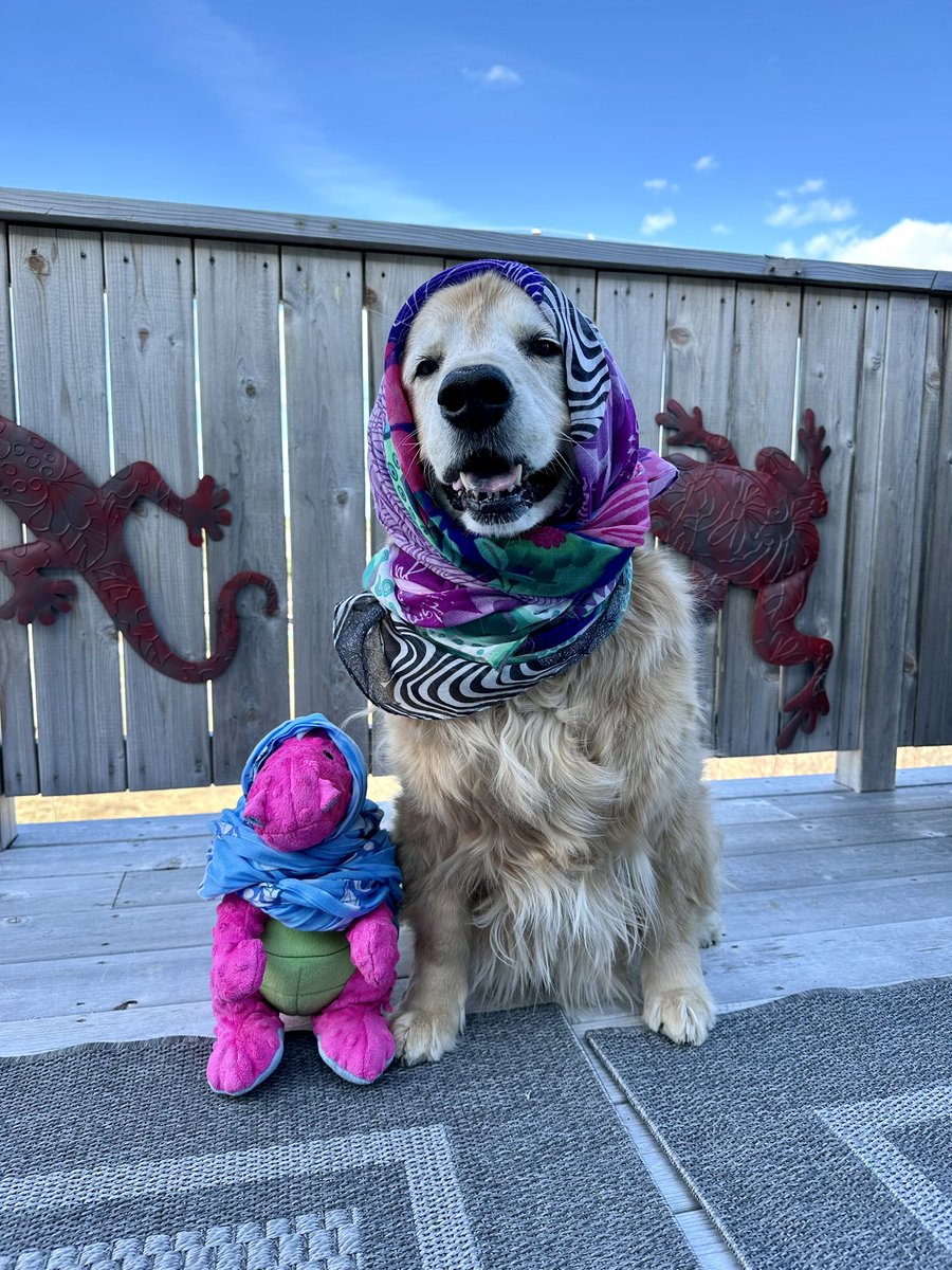 IT’S BABUSHKA FRIDAY!! 🧣❤️🥰😁