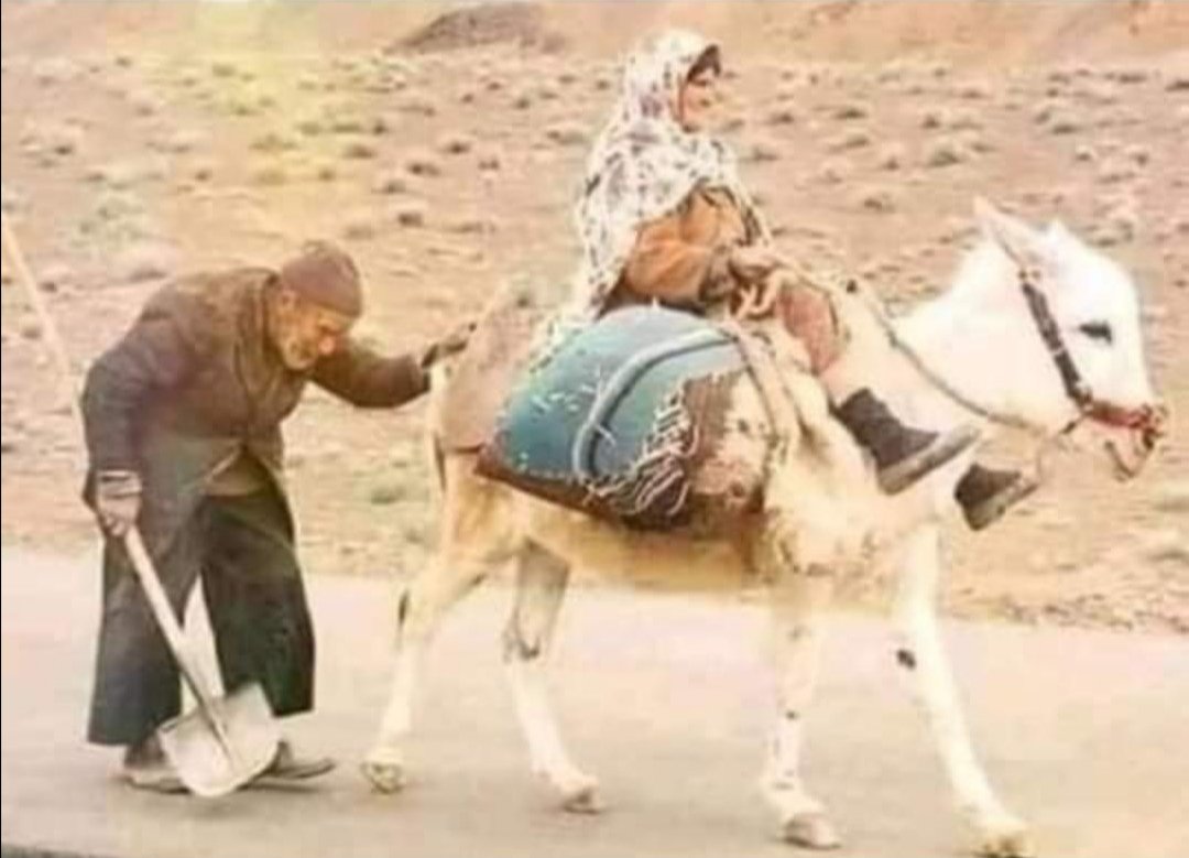 الُِحٍياه ڪفُاحٍ❥﴾⌯صلّوا على النبيﷺ tweet media