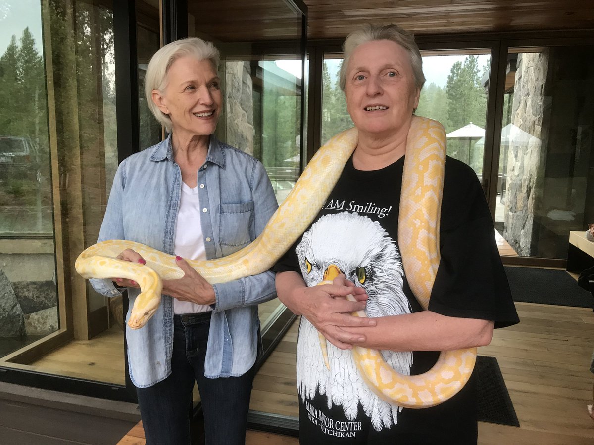 Happy birthday to my twin sister, protector and business advisor. Kaye is the best!!! She has always looked after me. Also a hermit😉😂🥰 We are now 76. 🎂🎂🎉🎉💃💃
Photos: South Africa, the Kalahari desert, snakes 🥴
#AWomanMakesAPlan 📖 
Advice for a Lifetime of Adventure,